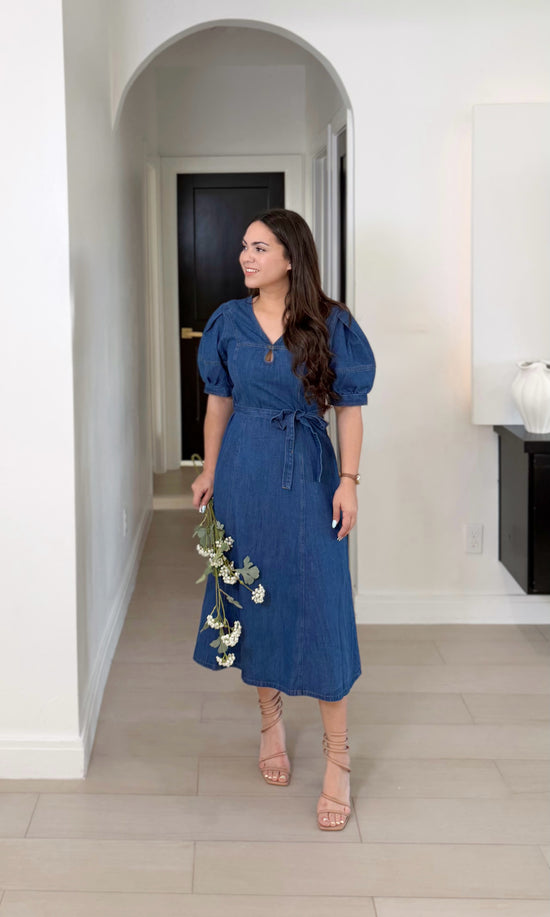 Alicia Denim dress