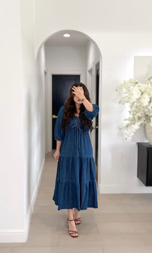 PREORDEN! Monica denim Dress