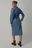 Viviana Denim Dress