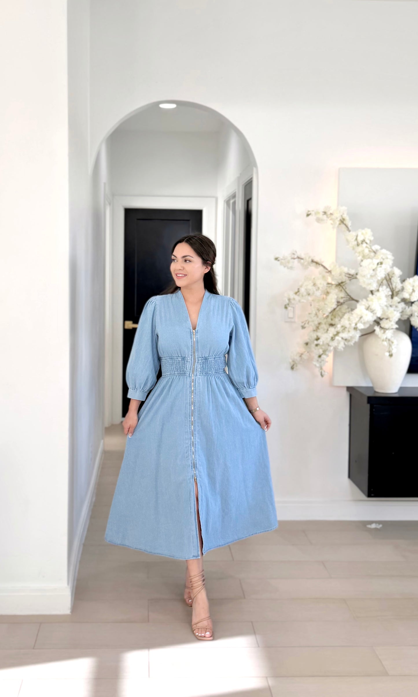 Sofia denim dress